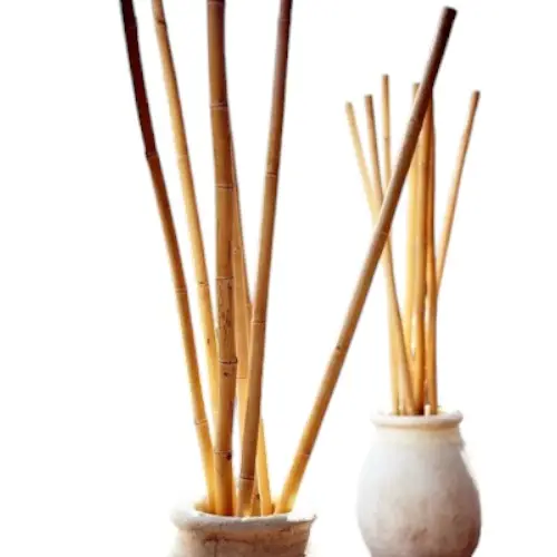 BAMBOU DEROCATIF D8CM