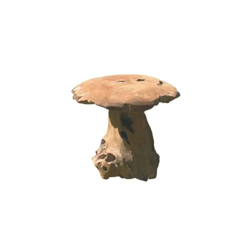 [STACHAMP50] CHAMPIGNON TECK 50CM