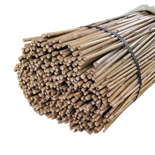 [TUTBAM06X200] TUTEUR BAMBOU H 200 D 0,6/0,8