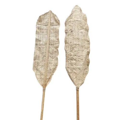 [BOG8] DÉCO FEUILLE NATURELLE BOG8