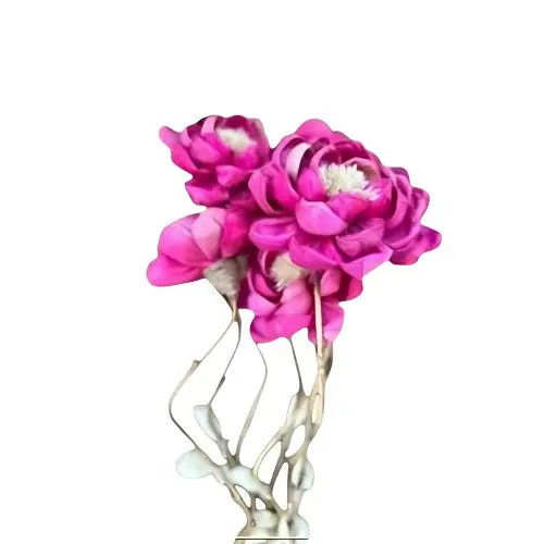[FLOW1] DÉCO FLEUR NATURELLE FLOW 1
