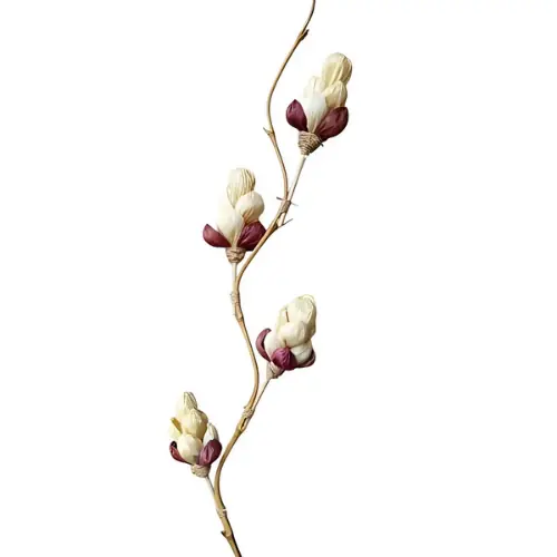 [FLOW6] DÉCO FLEUR NATURELLE FLOW 6